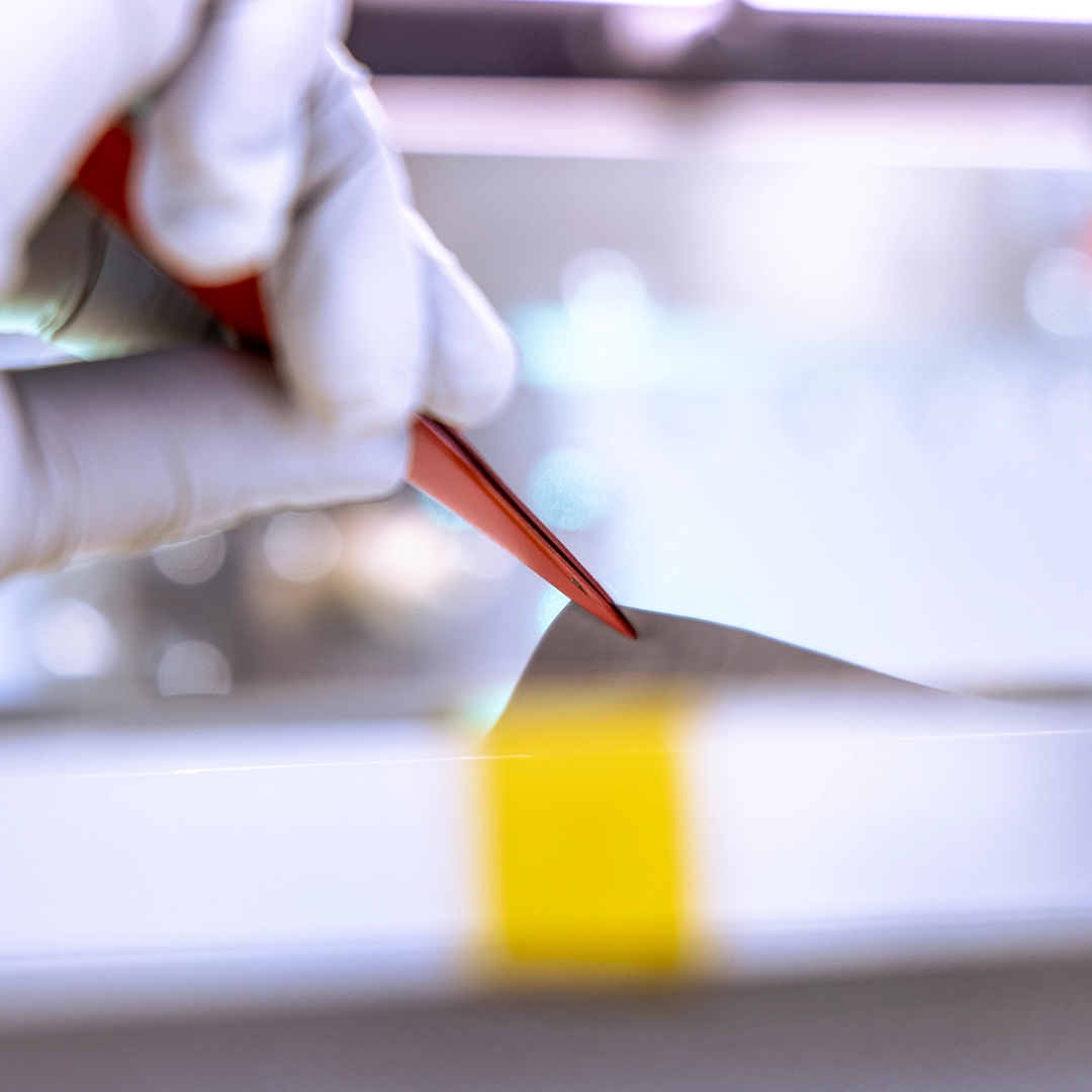 lifting a MEA layer with a pair of tweezers in a laboratory.